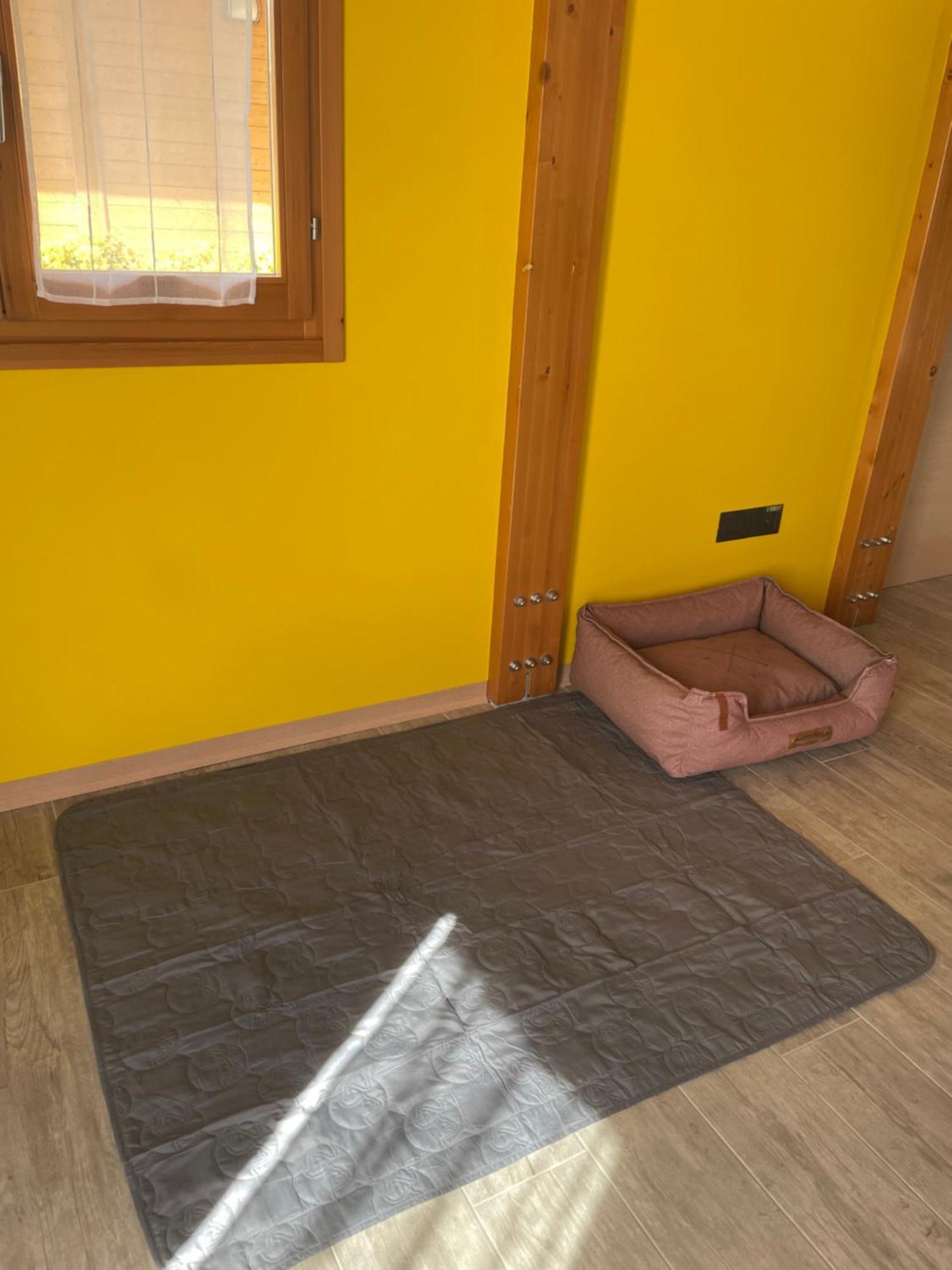 Colleolivi Appartement Serra deʼ Conti Buitenkant foto